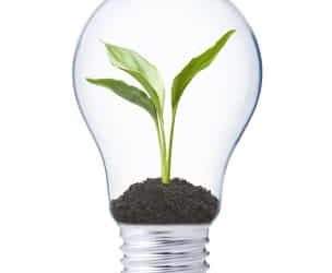 Bâtiments tertiaires : zoom sur la Cité de l’environnement