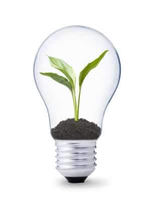 green energy concept, lightbulb with plant growing inside green energy concept, lightbulb with plant growing inside