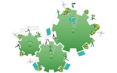 Stratégie Nationale Bas Carbone : Comprendre et Agir